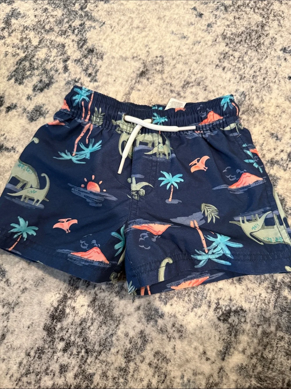 Carter's Navy Swim Trunks with Tropical Dino Print